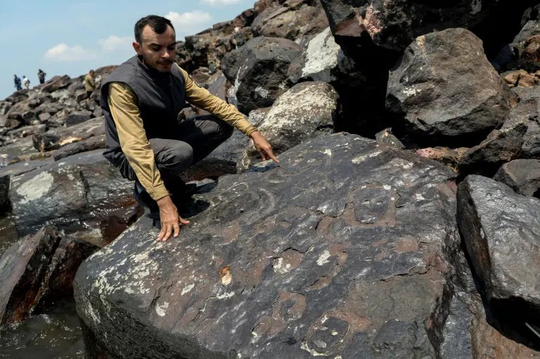 L'archéologue Jaime Oliveira montre des gravures rupestres anciennes réapparues sur le site de Praia das Lajes en raison de la sécheresse, le 21 octobre sur les rives du fleuve Negro à Manaus, dans le nord du Brésil © Michael Dantas