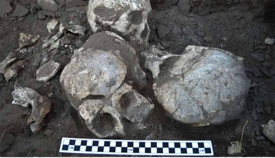 Le plus grand massacre impliquant une chasse de tête découvert en Asie néolithique, plus précisément en Chine. Source : Qian Wang/École de médecine dentaire de l’Université A&M du Texas
