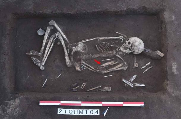 La sépulture M104, identifiée comme étant un homme âgé de 35 à 40 ans au moment du décès, comprenait une épée avec un manche en os et une lame de pierre (indiquée par une flèche rouge) parmi les objets funéraires qui l’accompagnaient. (Qian Wang/École de médecine dentaire de l’Université A&M du Texas)